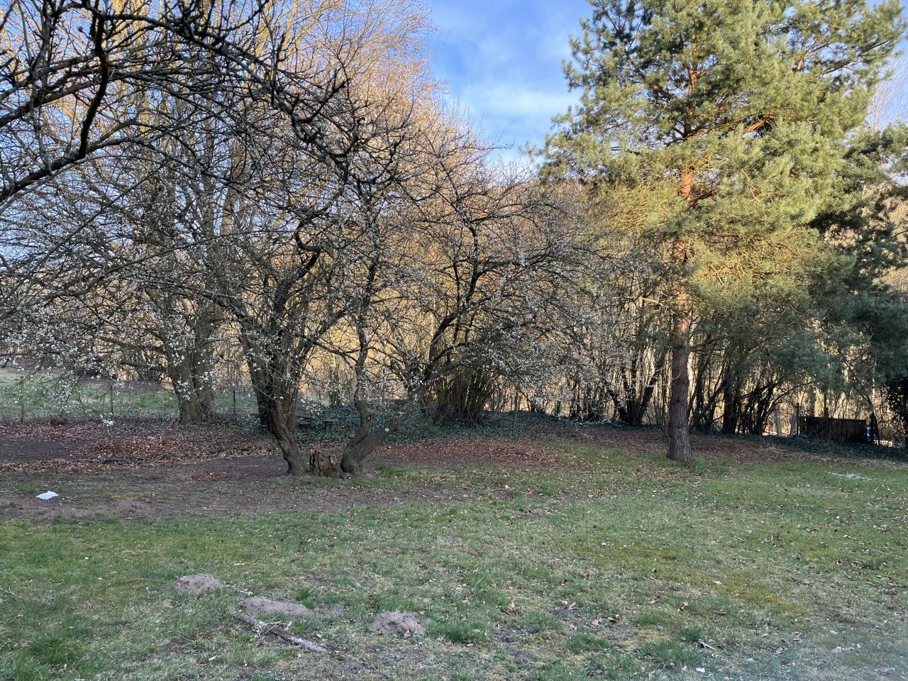 SCHEIDT : Stilvolles 3 - Familienhaus mit POTENTIAL in GEFRAGTER LAGE !