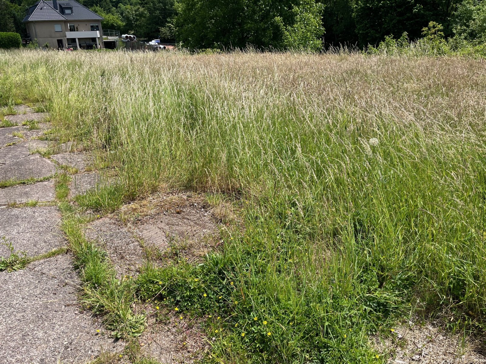 ÜBERROTH : Handwerkerobjekt mit POTENTIAL und 2019 m² Grundstück !