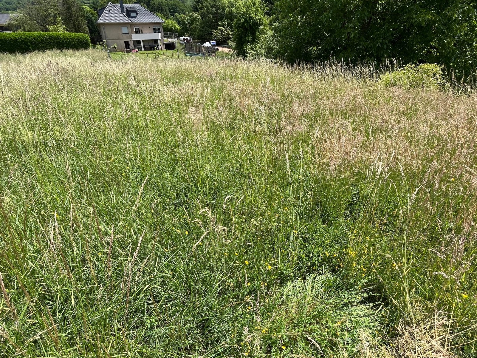 ÜBERROTH : Handwerkerobjekt mit POTENTIAL und 2019 m² Grundstück !