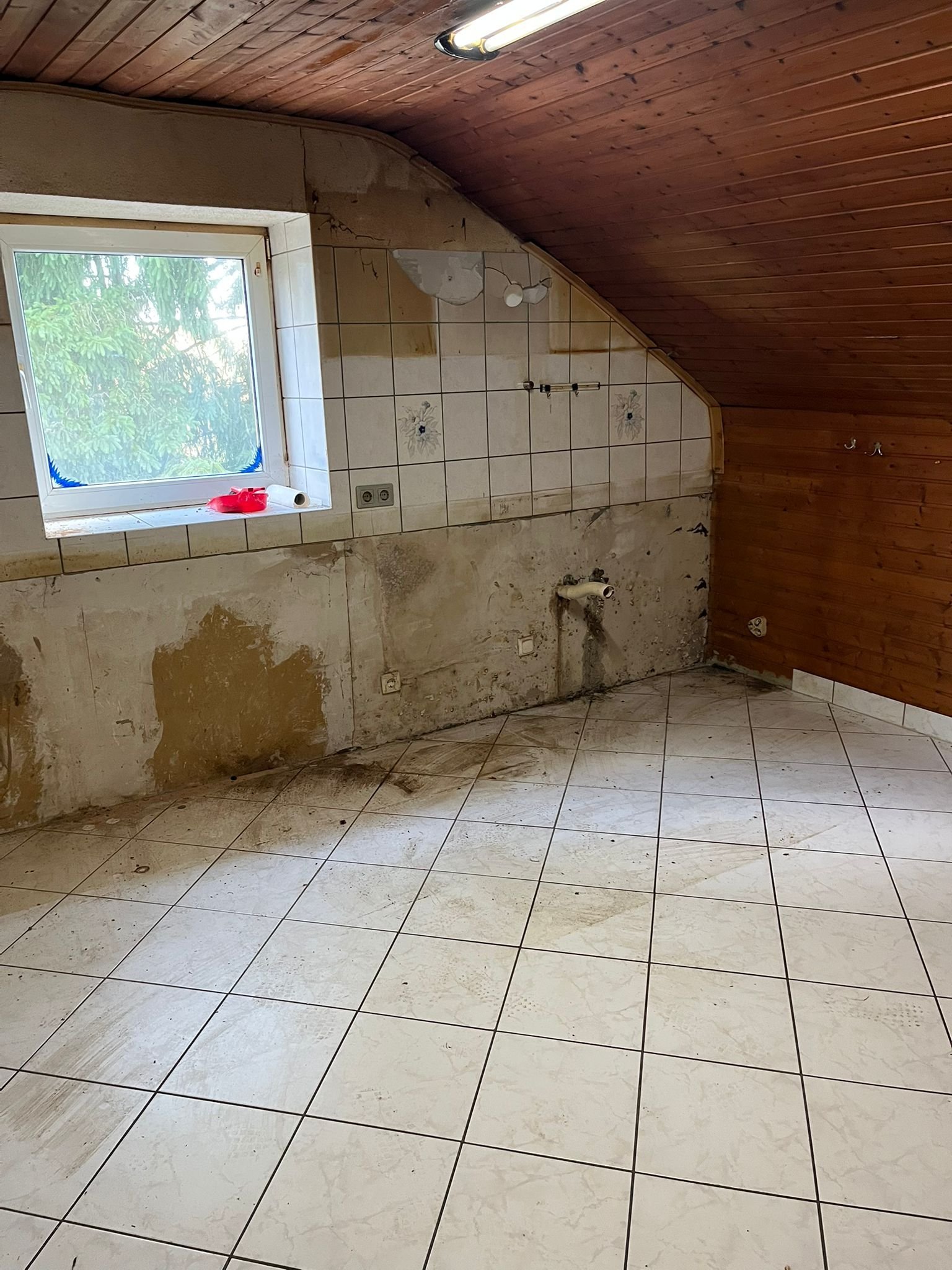 EIDENBORN : SANIERUNGSOBJEKT mit POTENTIAL und 1060 m² GRUNDSTÜCK !  !