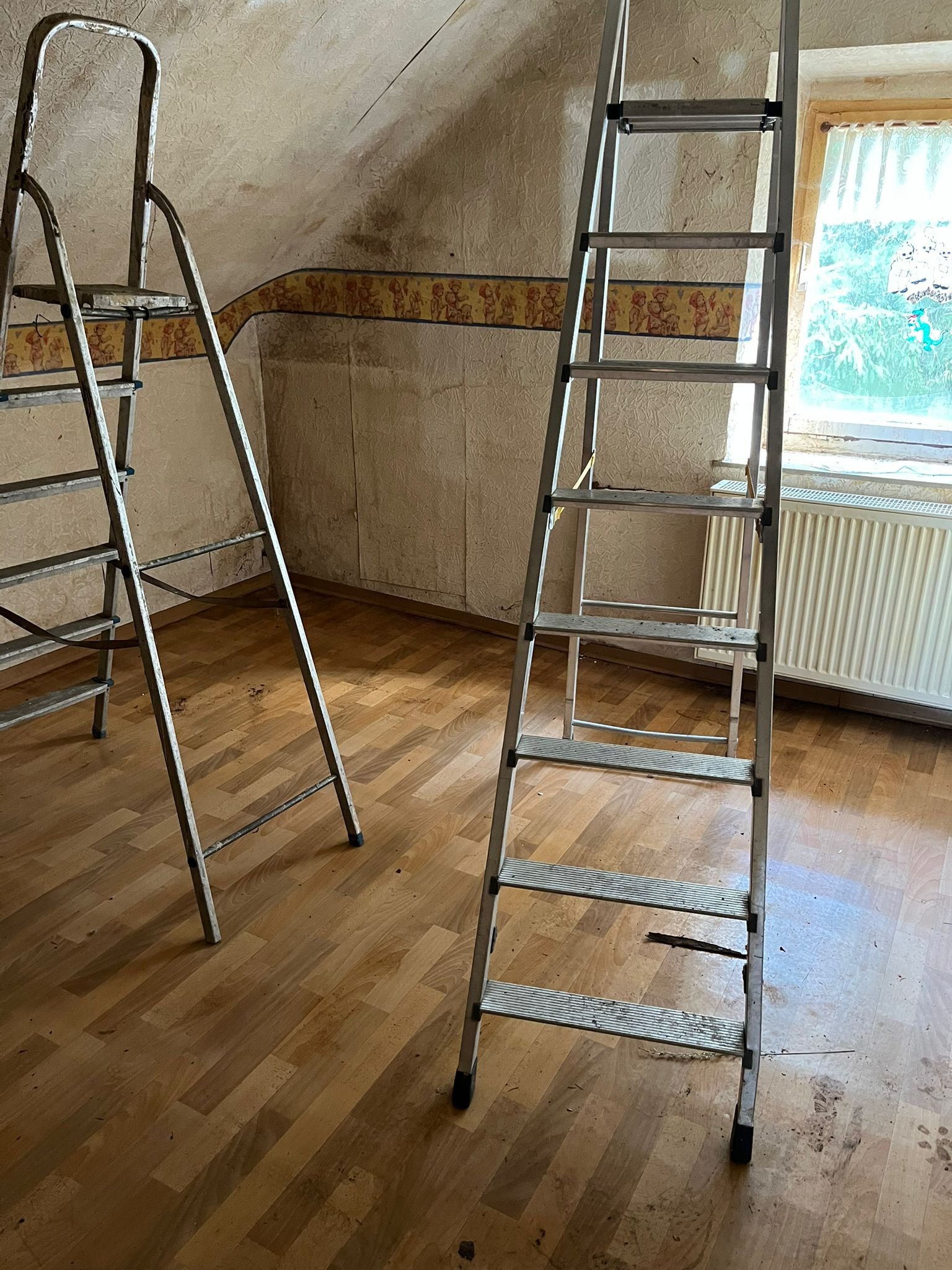 EIDENBORN : SANIERUNGSOBJEKT mit POTENTIAL und 1060 m² GRUNDSTÜCK !  !