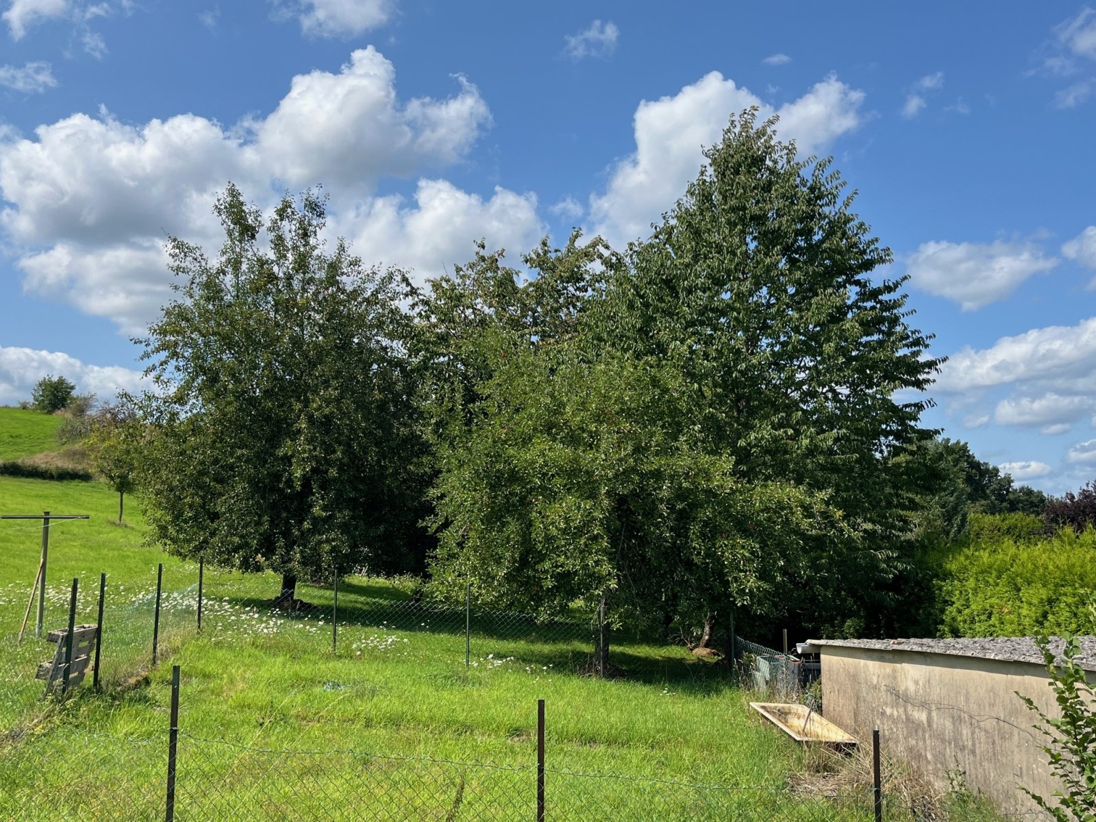 1 km bis LEBACH  : 1 - 2 FH mit POTENTIAL in RANDLAGE mit 3236 m² GRUNDSTÜCK !