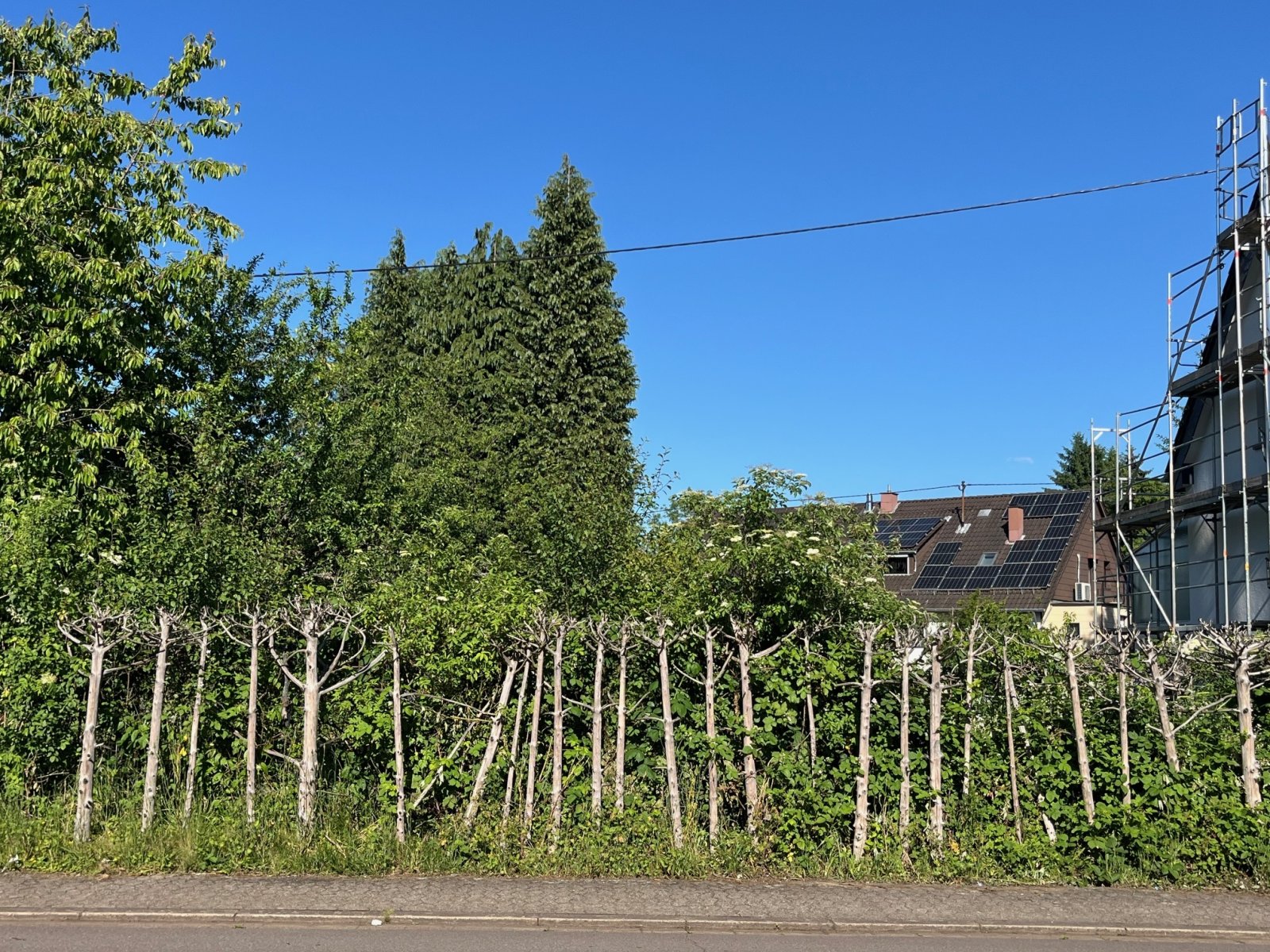 SCHMELZ : Ebenes Baugrundstück in der = Schillerstraße = – Ein Platz für Ihre Visionen!