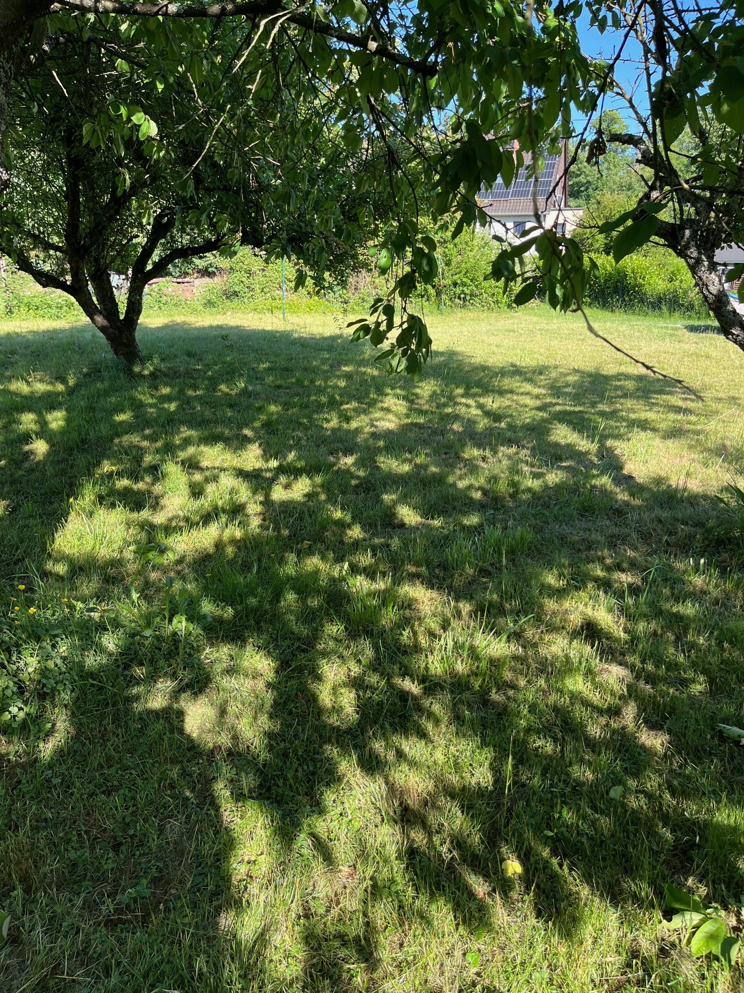 SCHMELZ : Ebenes Baugrundstück in der = Schillerstraße = – Ein Platz für Ihre Visionen!