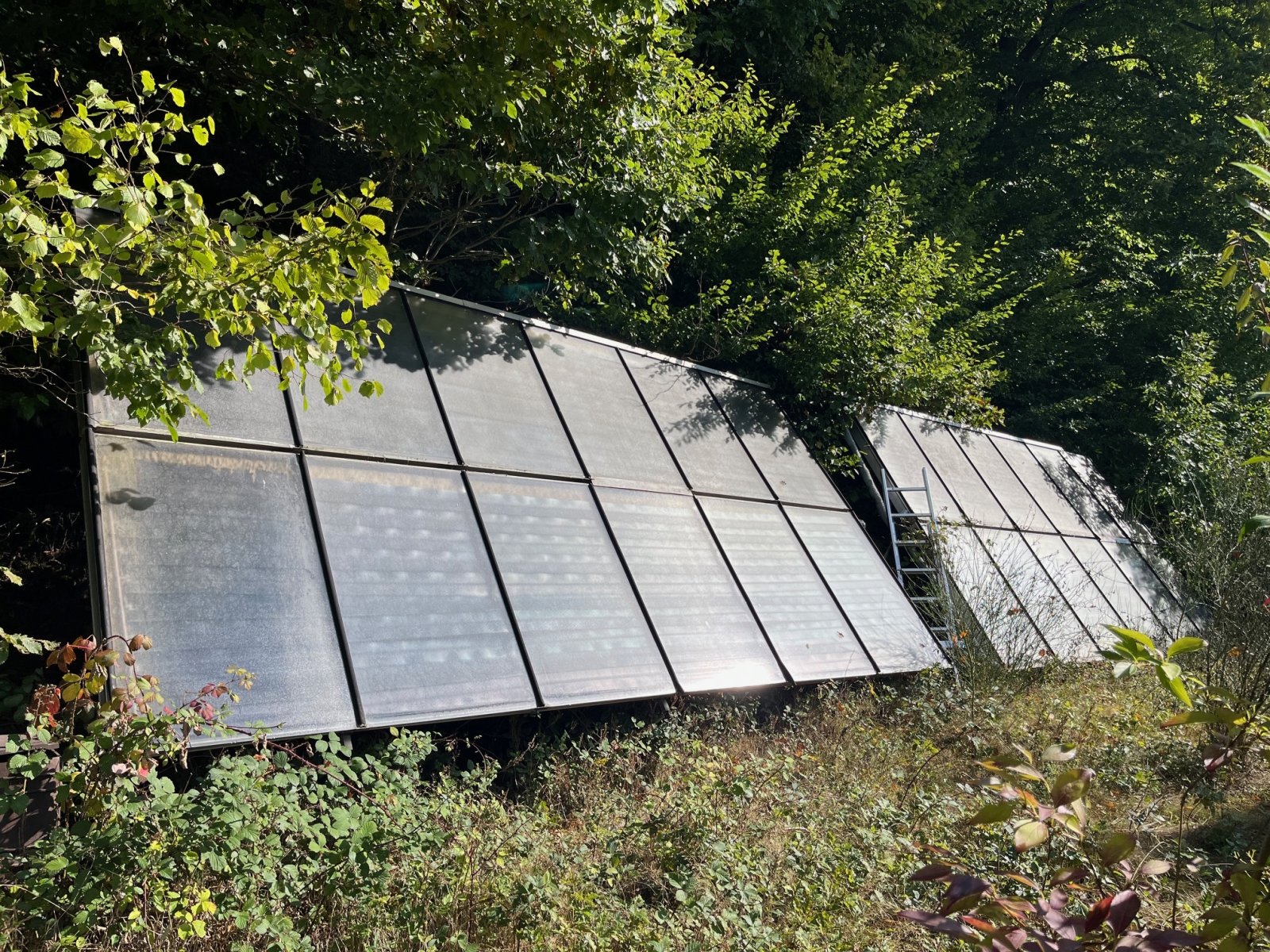 DIRMINGEN: Großzügiger Bungalow mit ELW und Photovoltaikanlage in idyllischer Höhenlage!