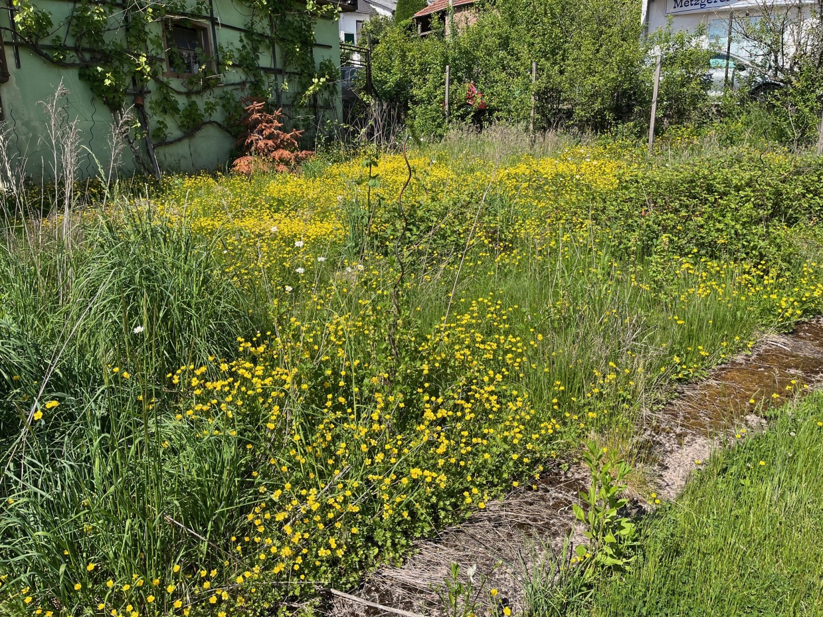 GRESAUBACH : Großzügiges SANIERUNGSOBJEKT mit POTENTIAL in ruhiger Lage !