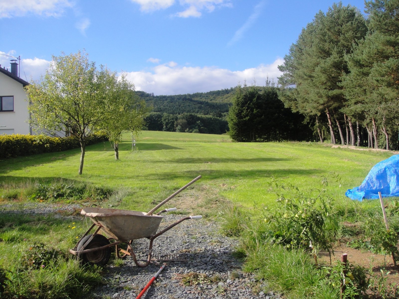 HOPPSTÄDTEN - WEIERSBACH : KAPITALANLAGE mit 5 WOHNUNGEN und 1 Gewerbeeinheit !