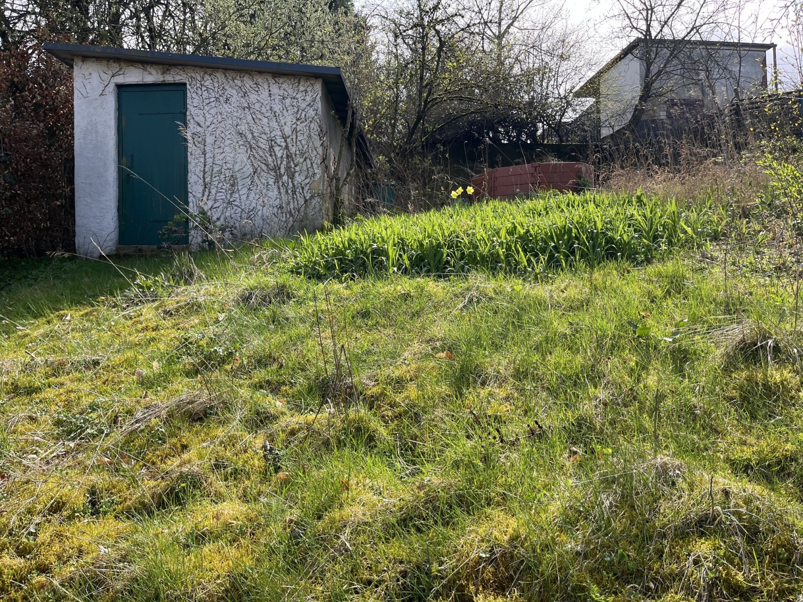 SPIESEN - ELVERSBERG : Kleiner BUNGALOW mit VOLLKELLER und separater GARAGE !