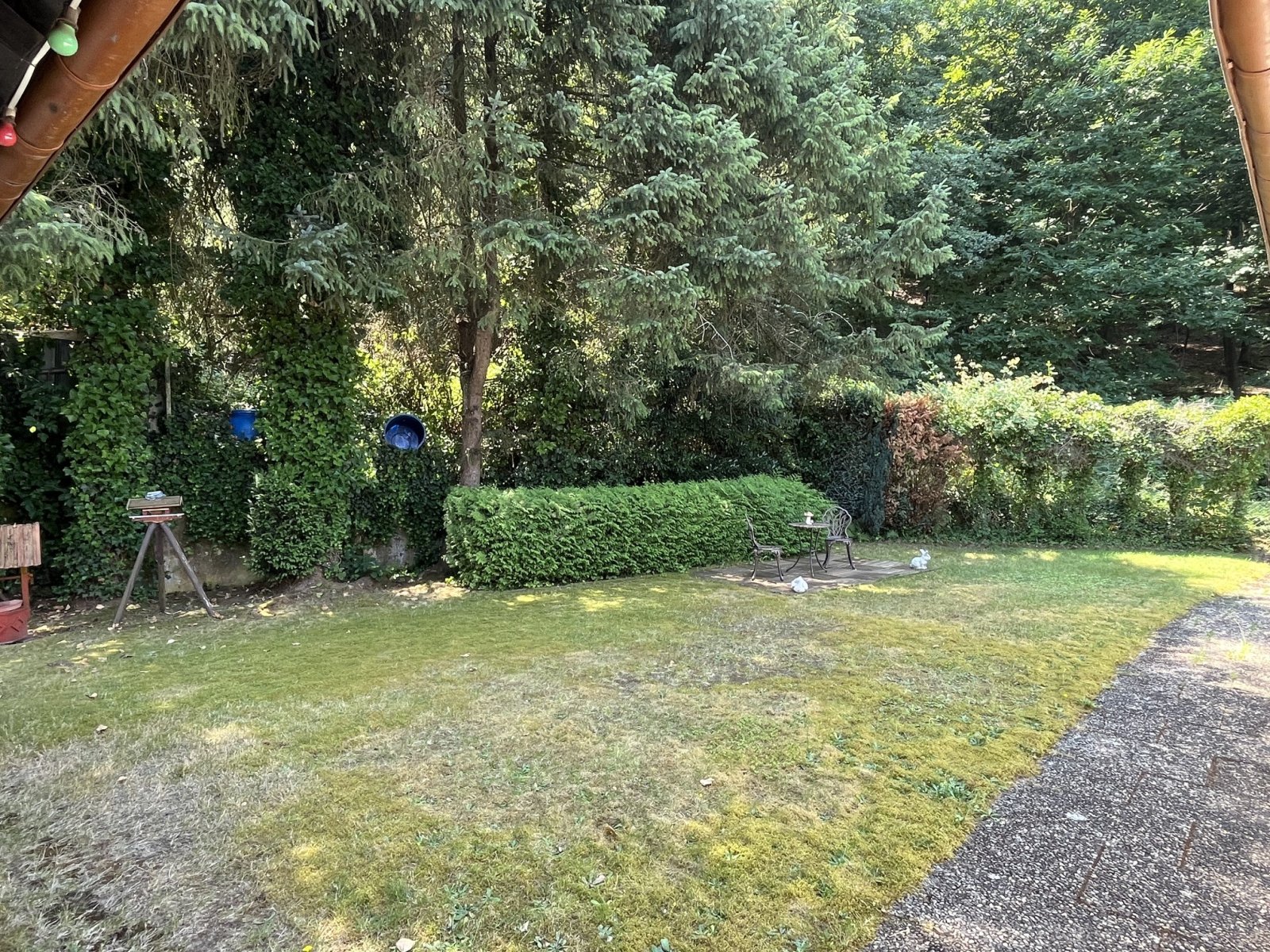HAUSTADT : Solider BUNGALOW mit POTENTIAL in TRAUMLAGE direkt am WALDRAND !