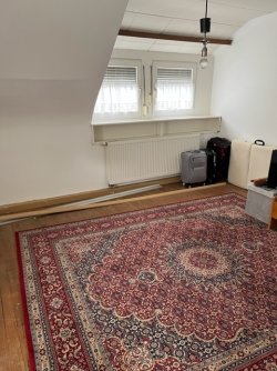 Zimmer DG Zimmer DG