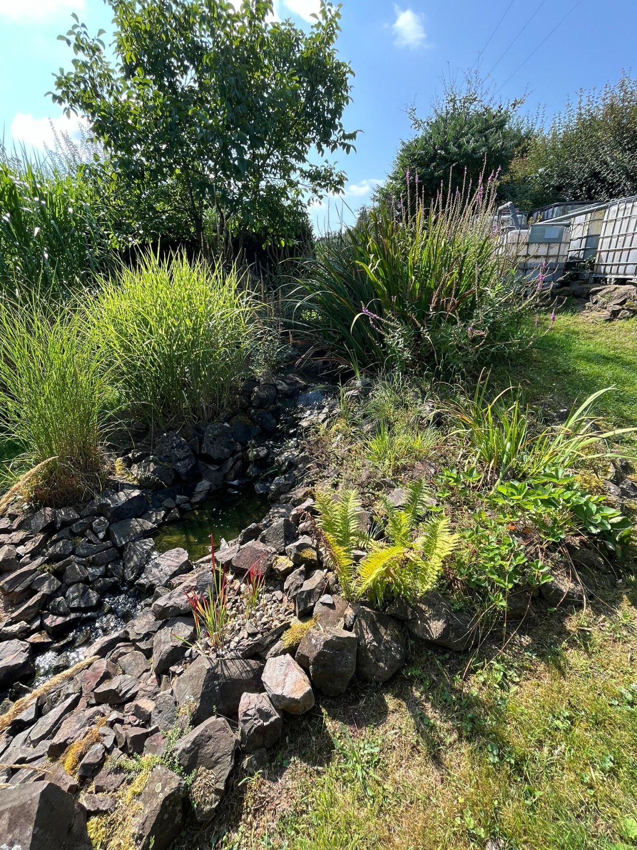 Garten Garten
