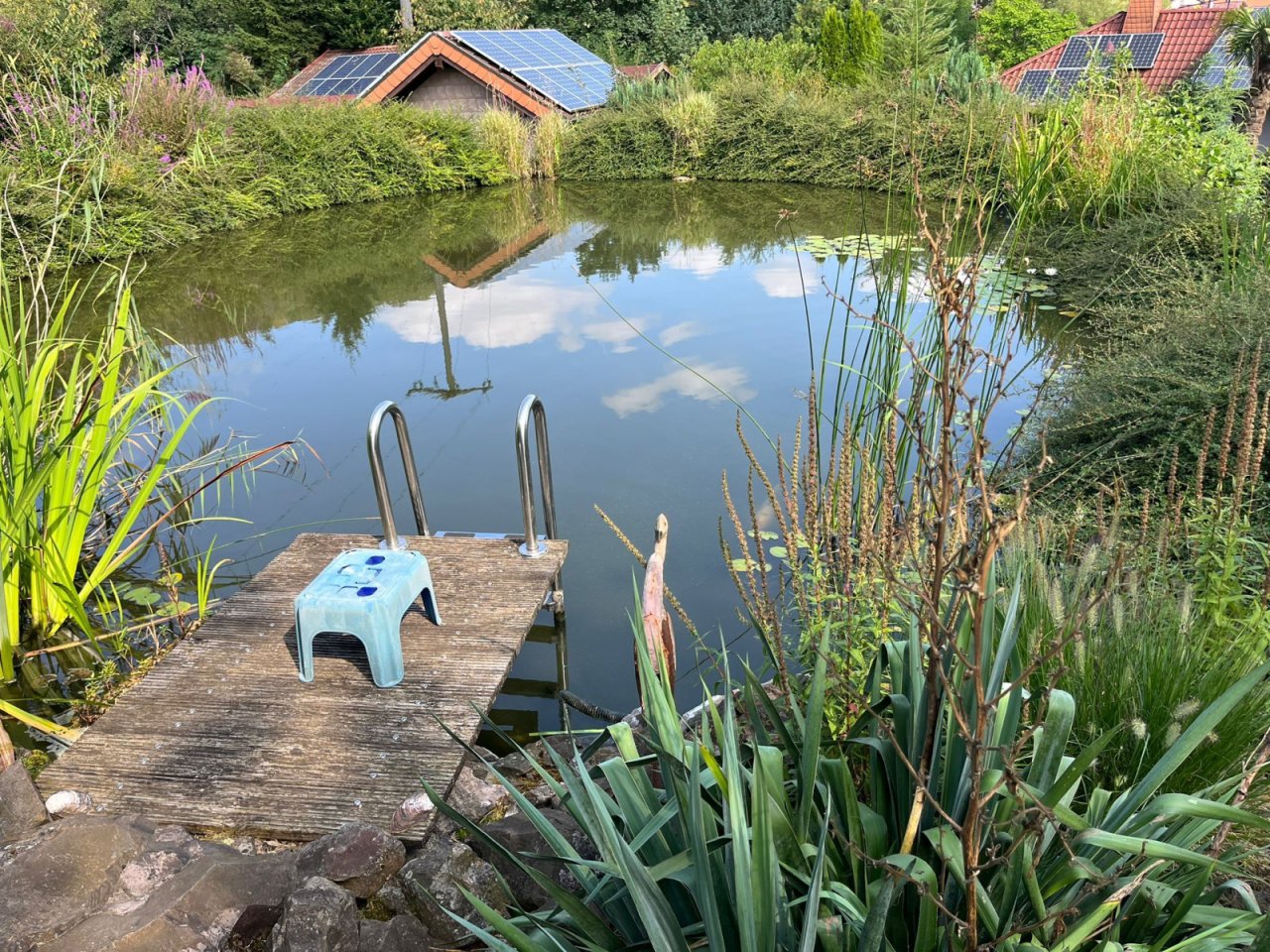 Schwimmteich Schwimmteich