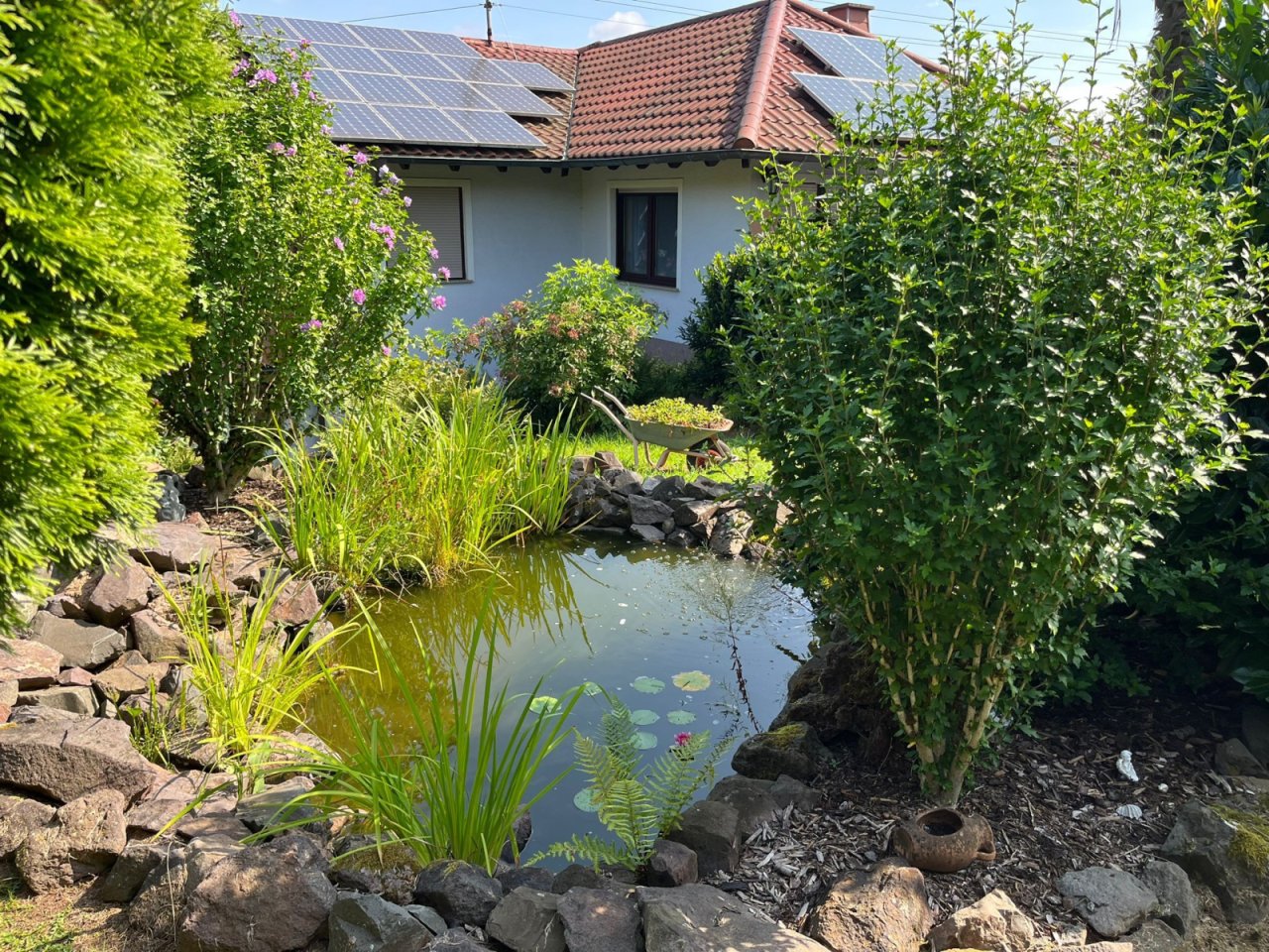 Teich Teich