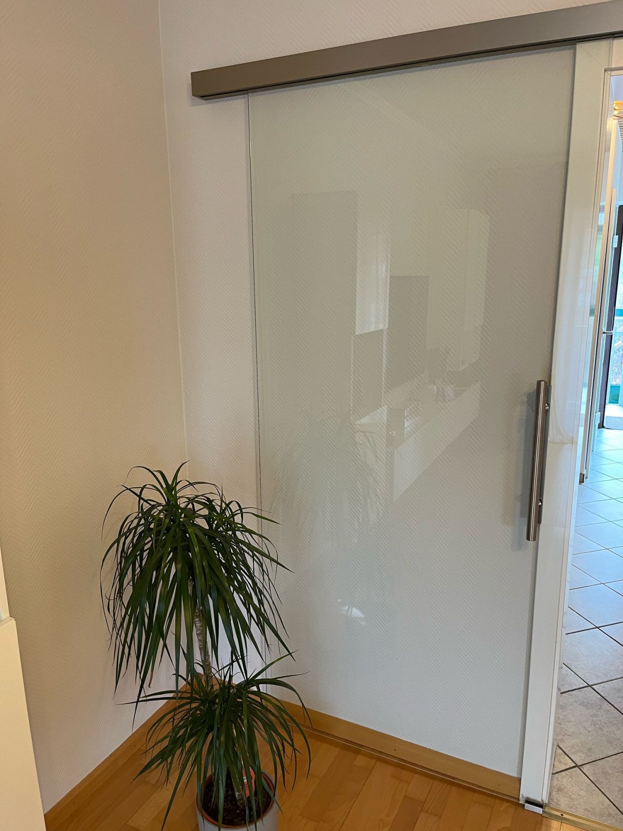 Glastüren Wohnbereich und Bad Glastüren Wohnbereich und Bad