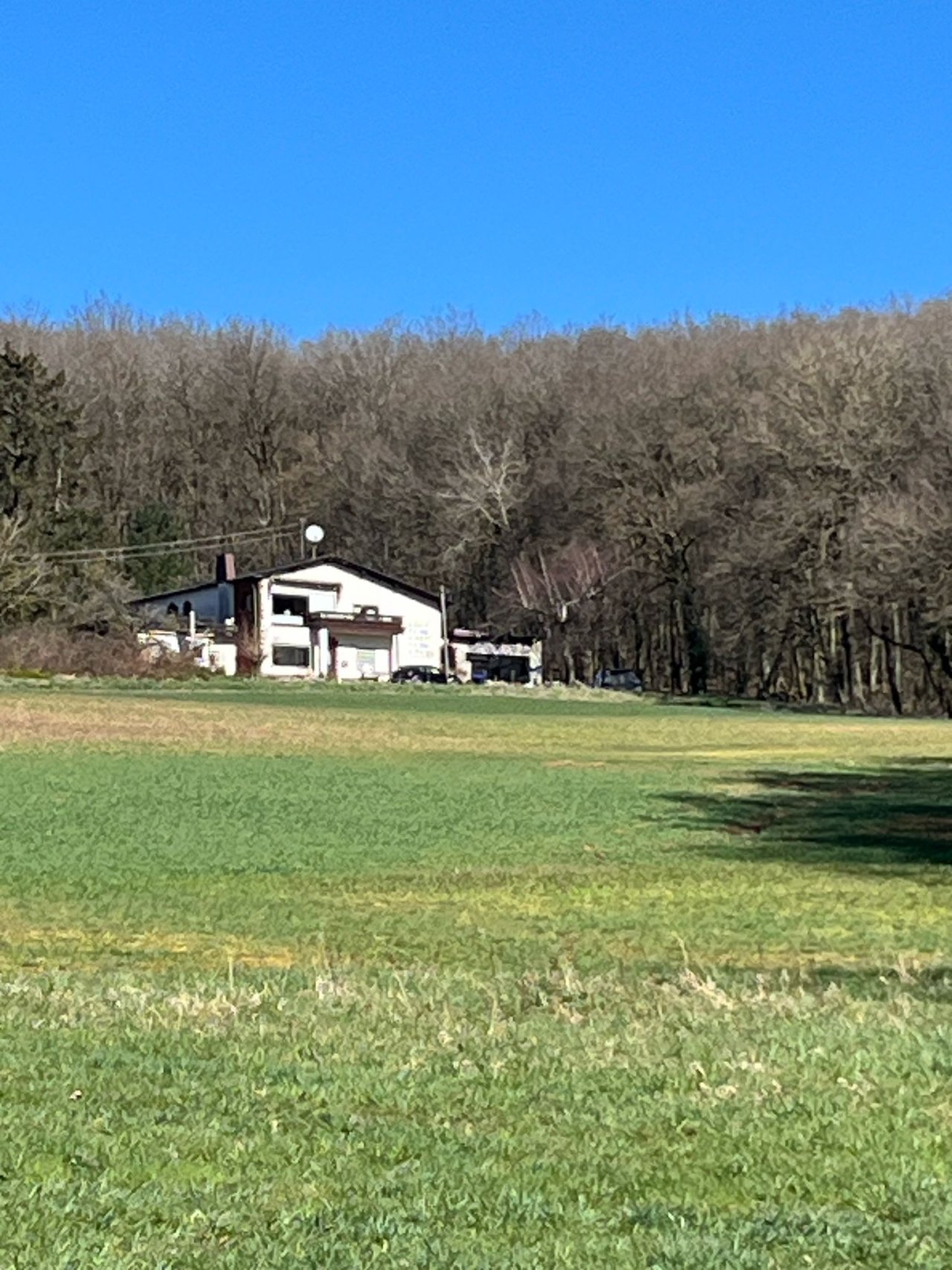 Waldrand Waldrand