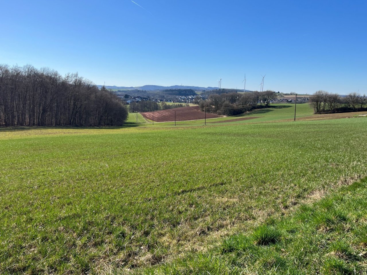 Grundstück Grundstück