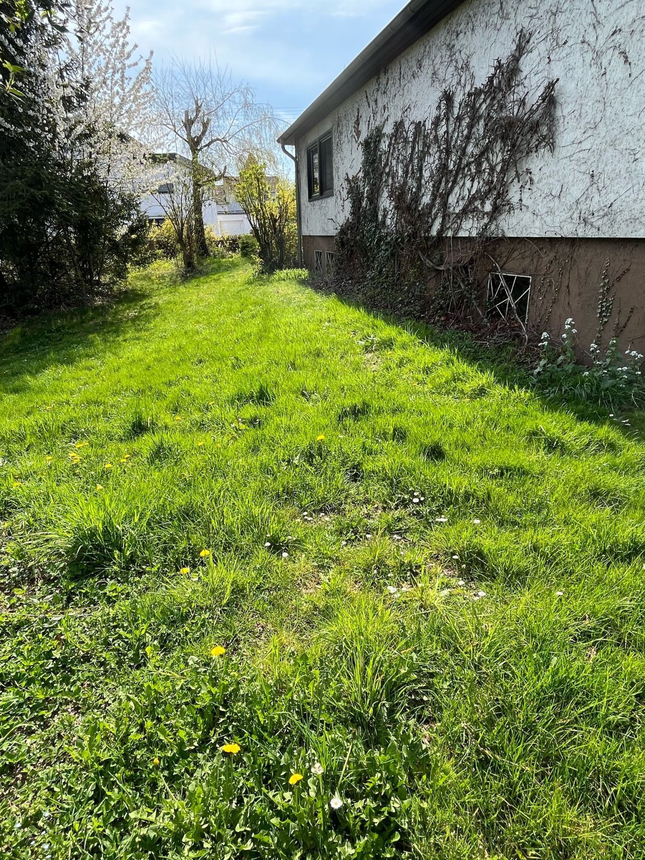 Grundstück Grundstück