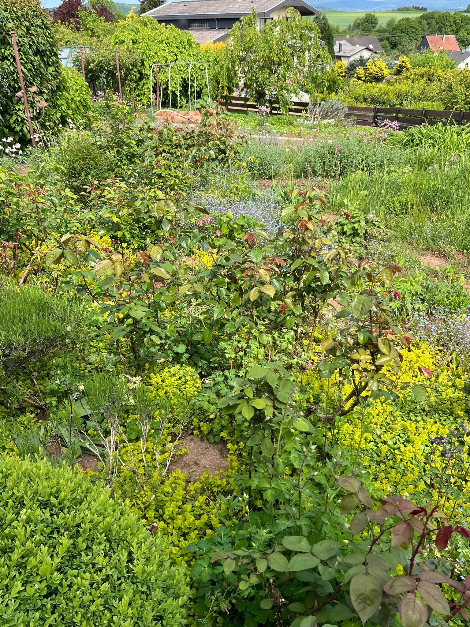 Garten Garten