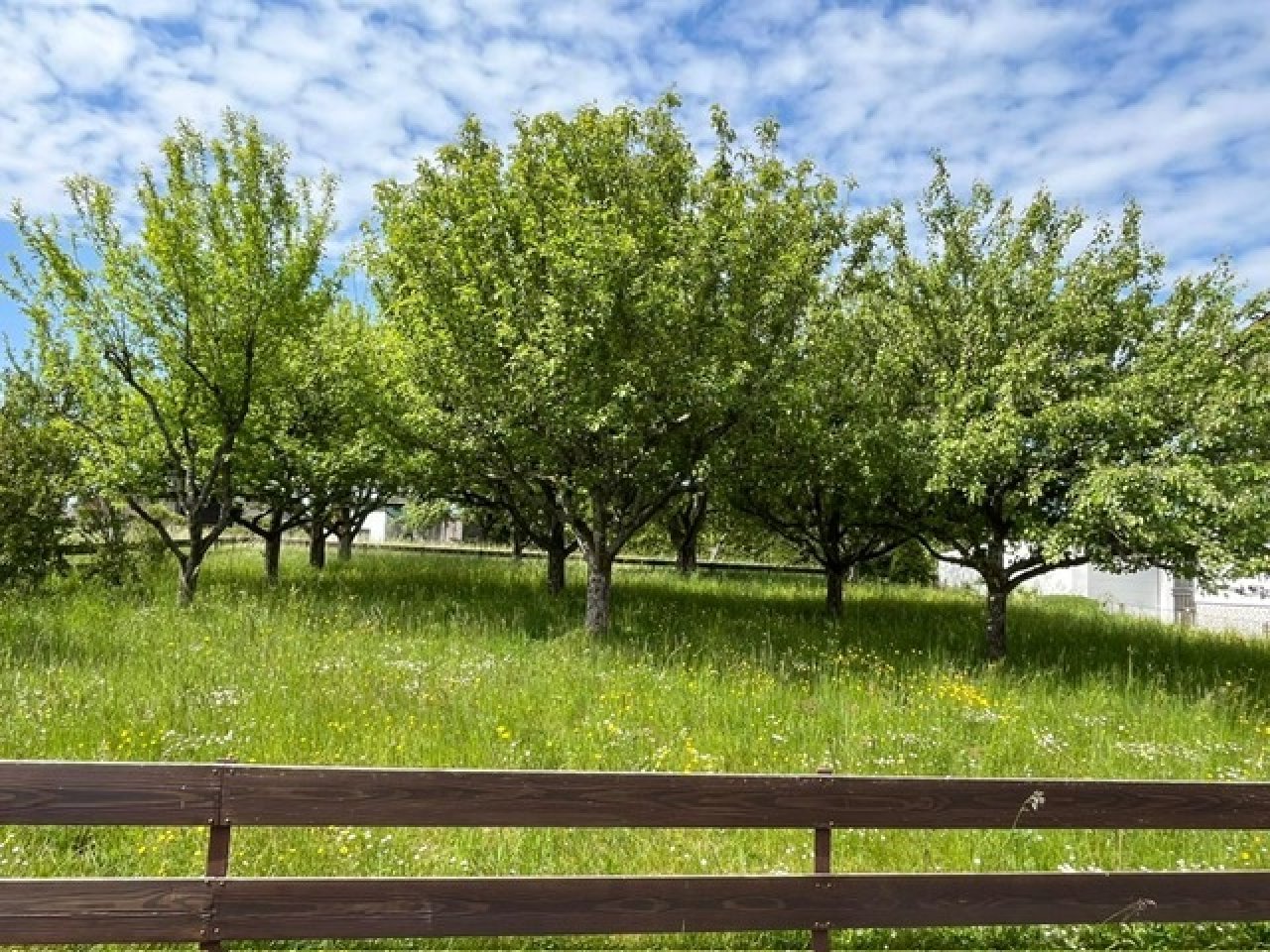 Baugrundstück ( separat zum Kauf ) Baugrundstück ( separat zum Kauf )