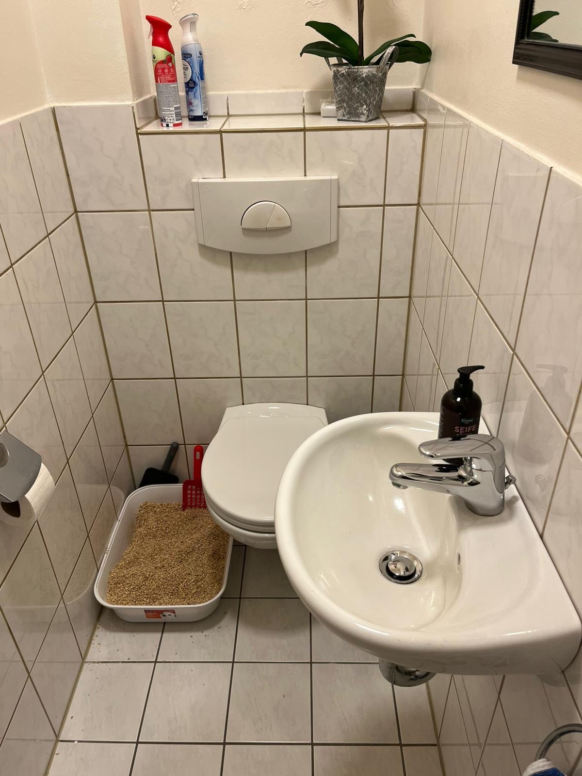 G-WC G-WC