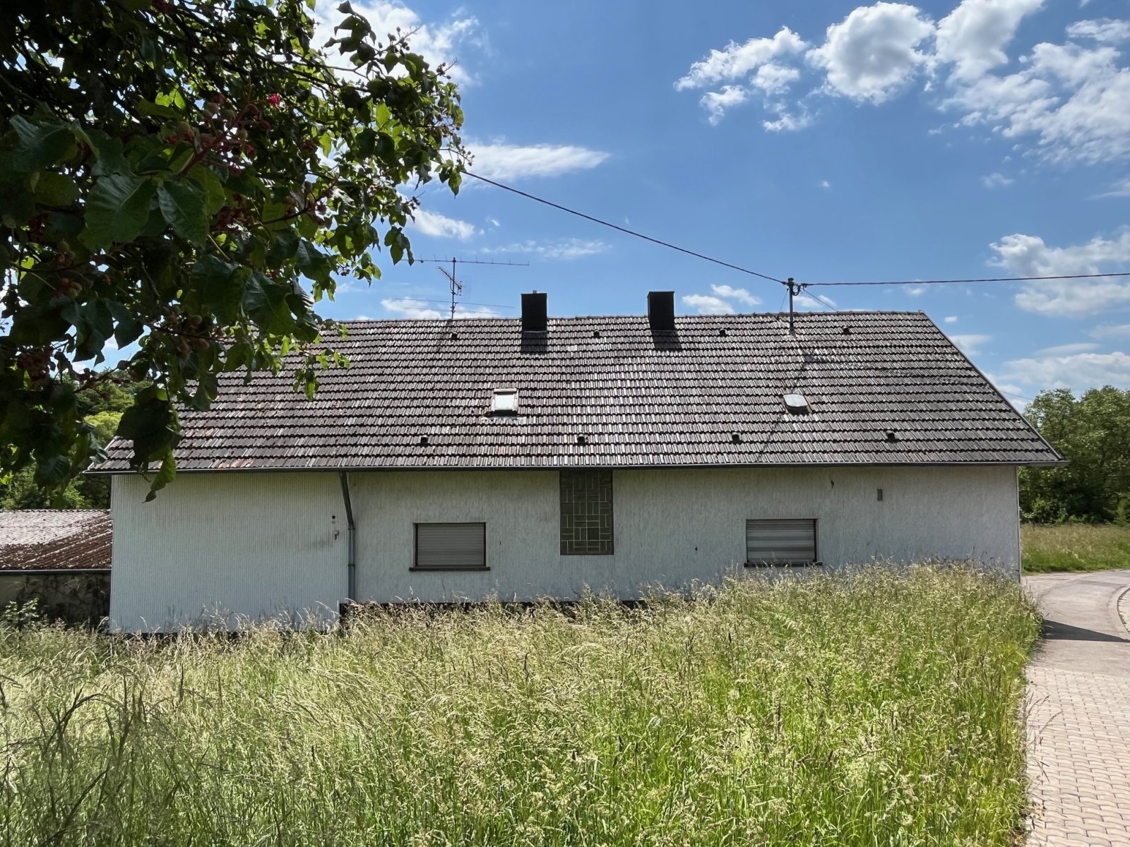 Rückansicht Rückansicht