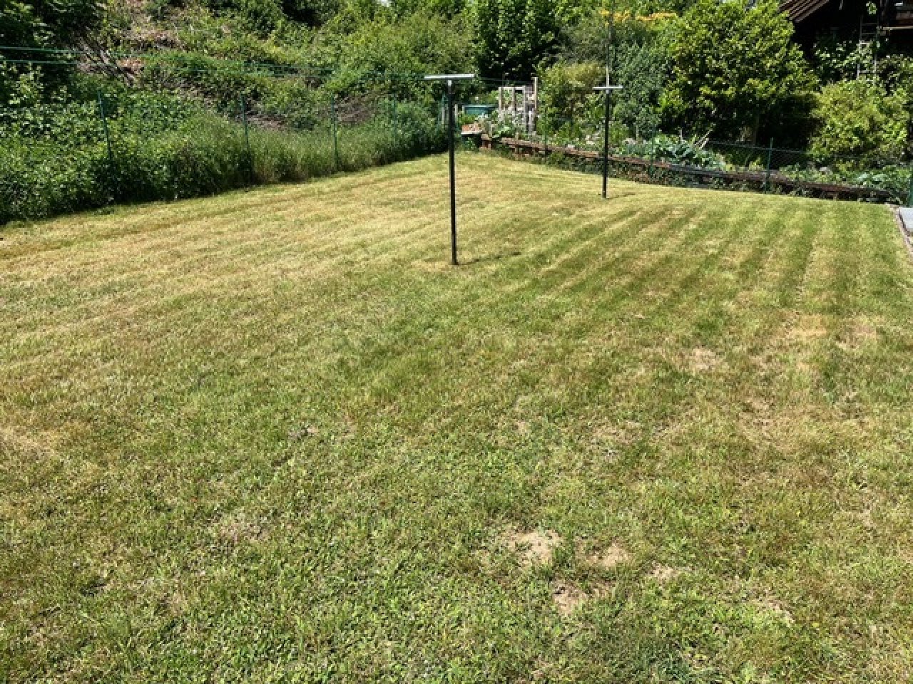 Garten Garten