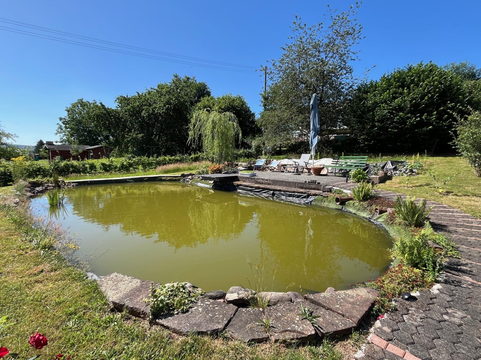 Teich Aussenbereich Teich Aussenbereich