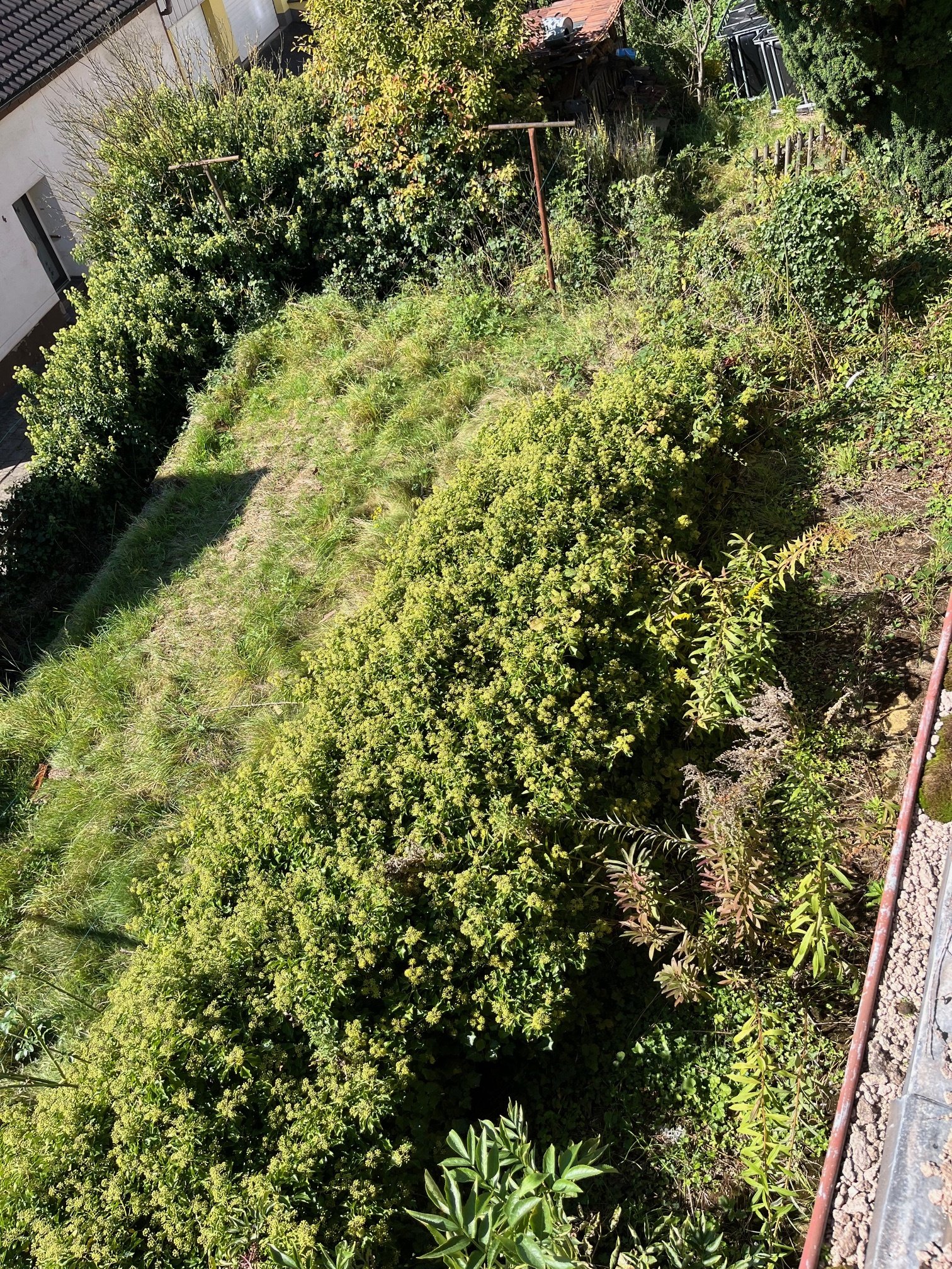 Garten Garten