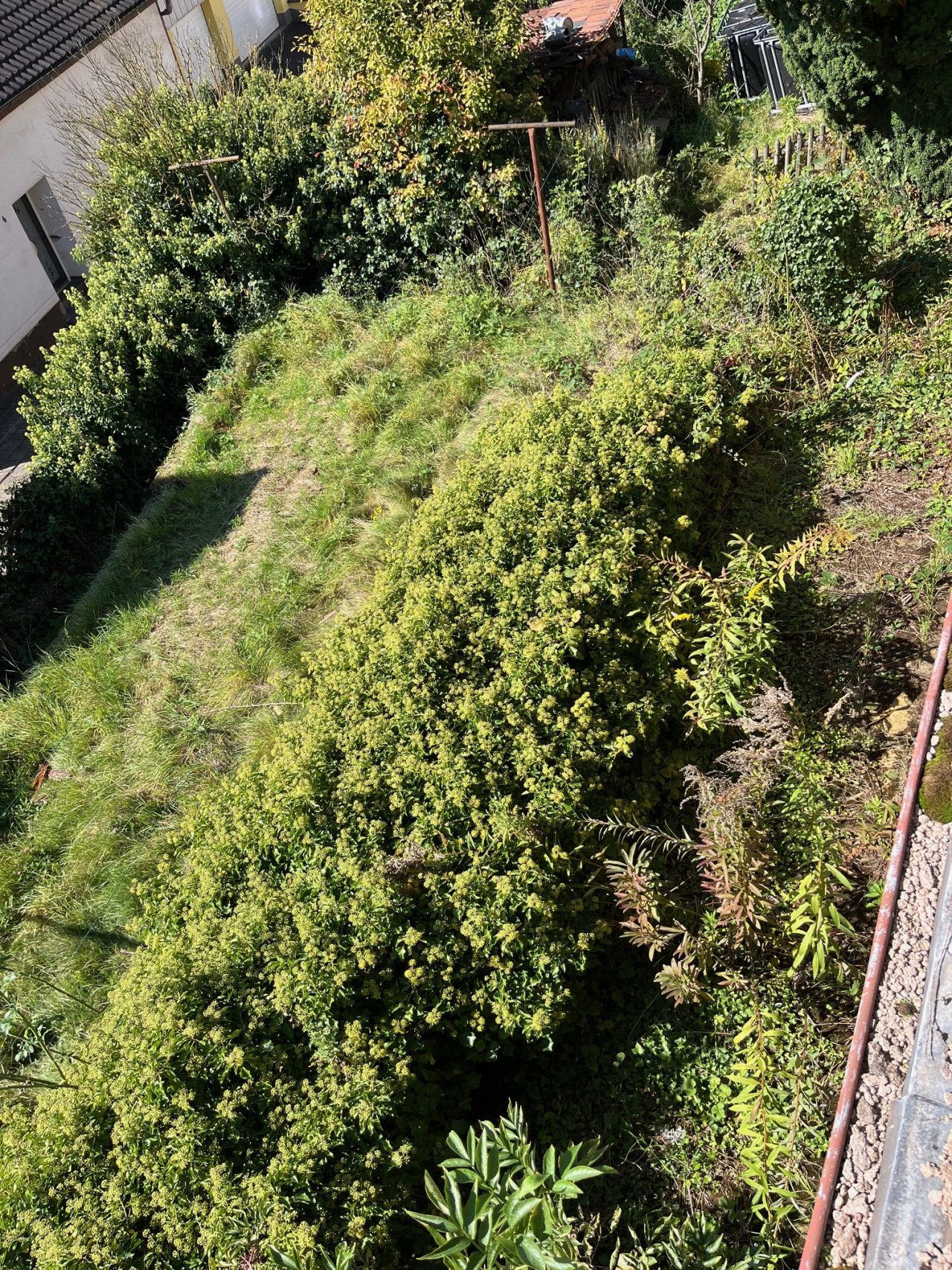 Garten Garten