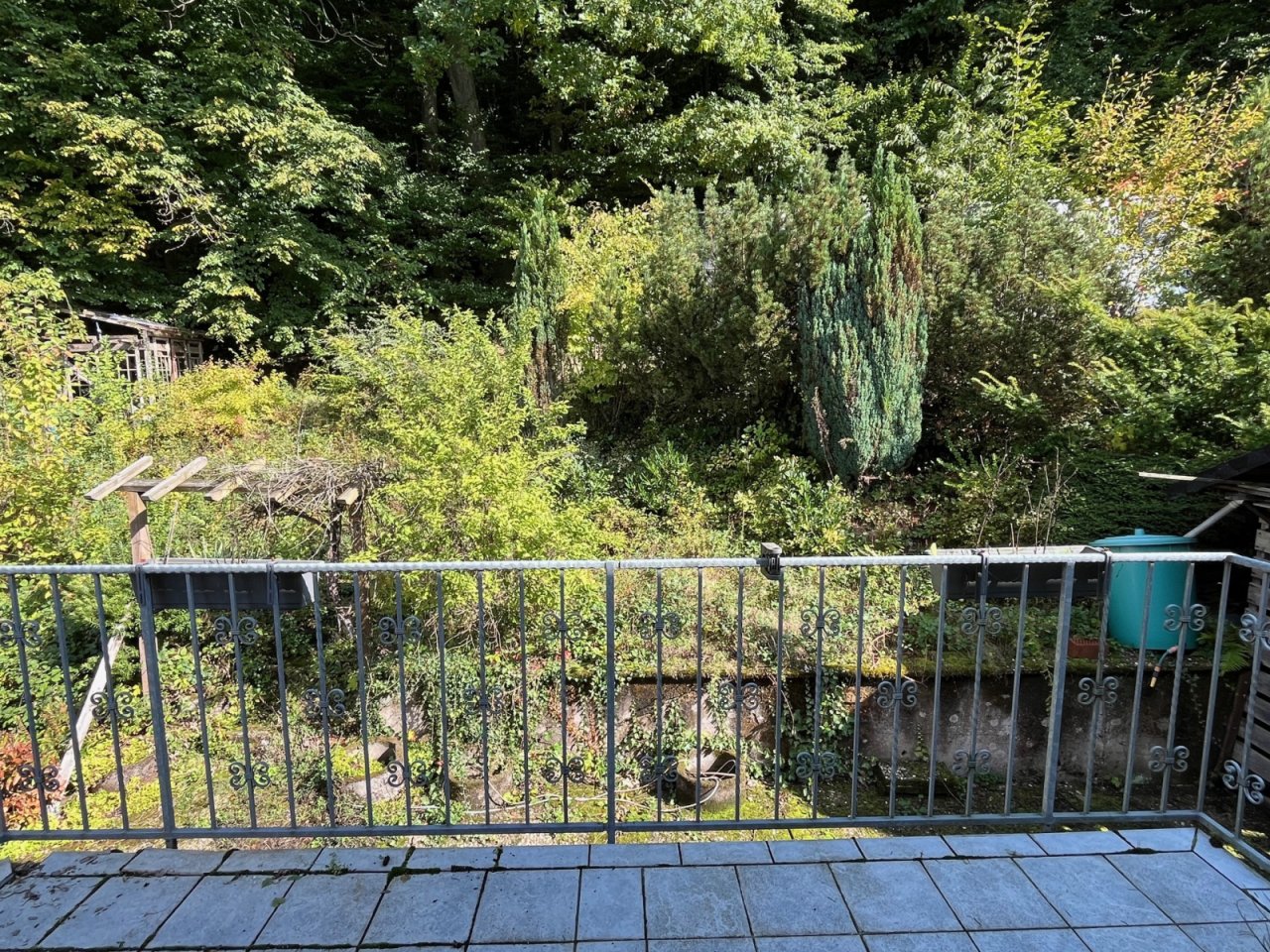 Ausblick