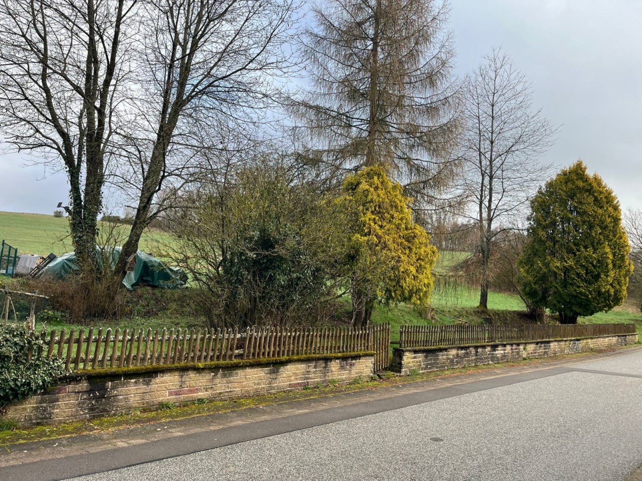 Garten gegenüber Straße