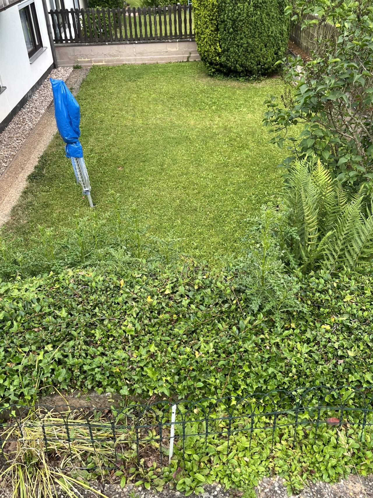 Garten Garten