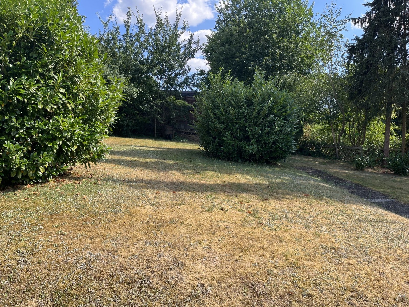 Garten Garten