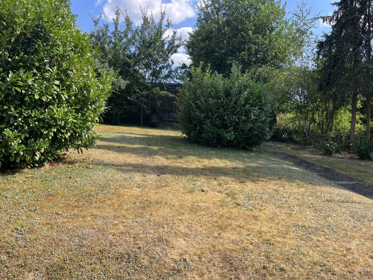 Garten Garten