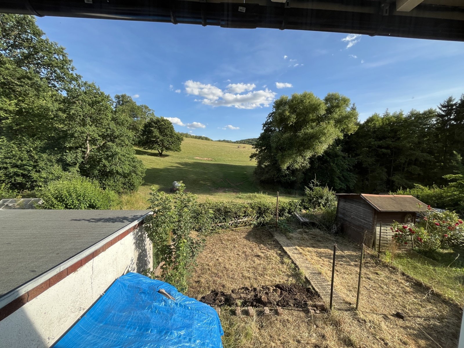 Ausblick Ausblick